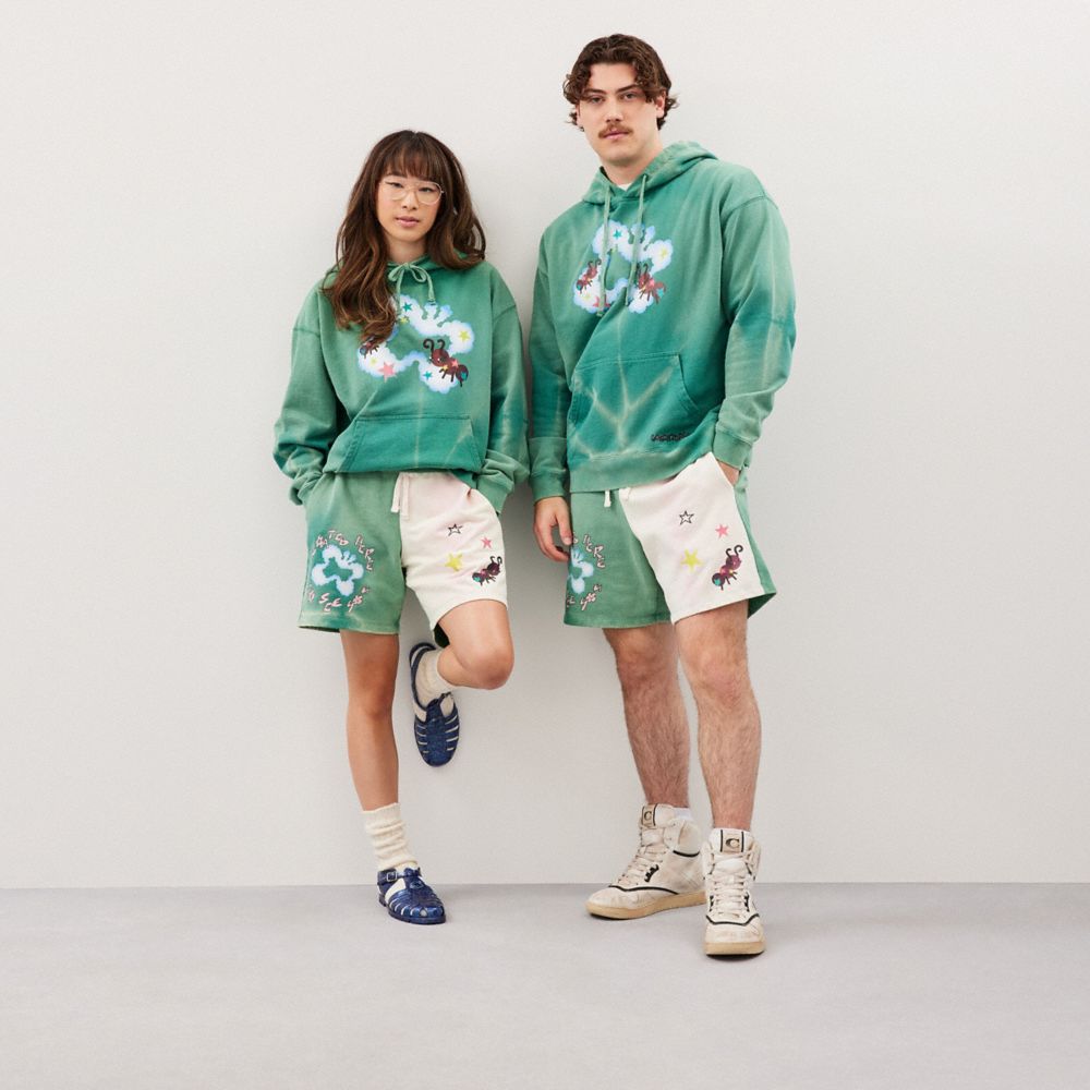 COACH®,Hoodie With Floating Butterfly Print,,Scale View