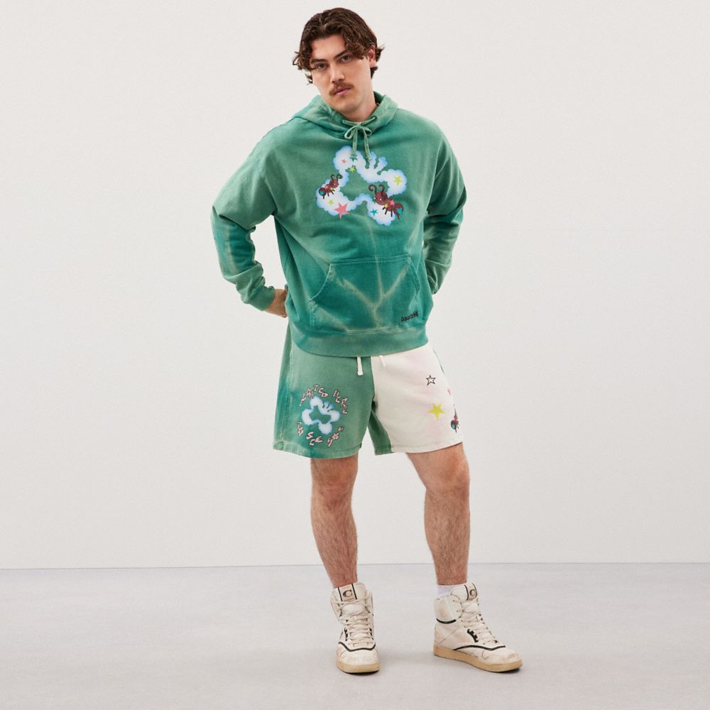 COACH®,Hoodie With Floating Butterfly Print,,Scale View