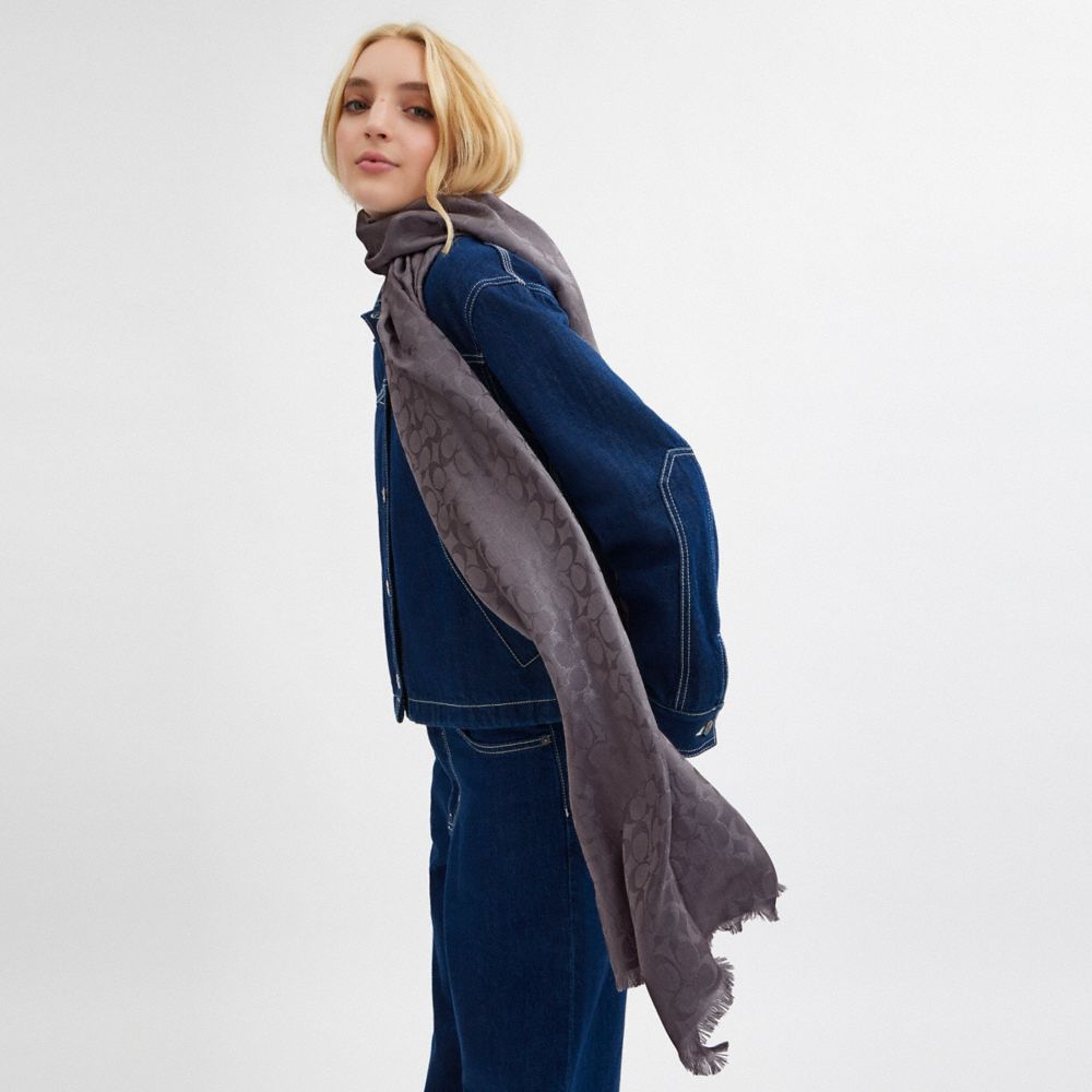 COACH®,Signature Metallic Oblong Scarf,Modal,Wool,Viscose,Metallic,Rectangle,Frayed,Casual,Gray,Detail View