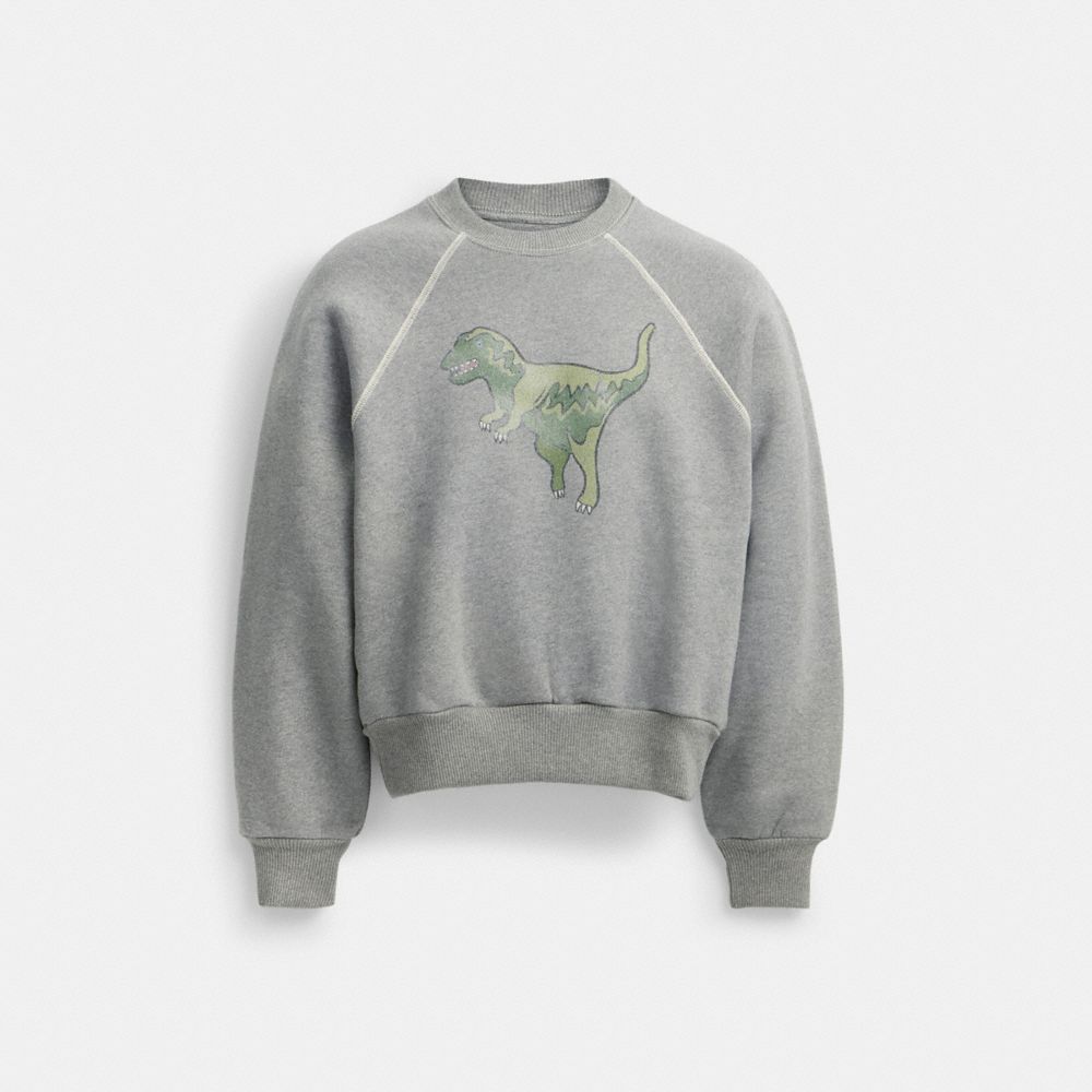 COACH®,REXY CREWNECK SWEATSHIRT,Gray,Front View