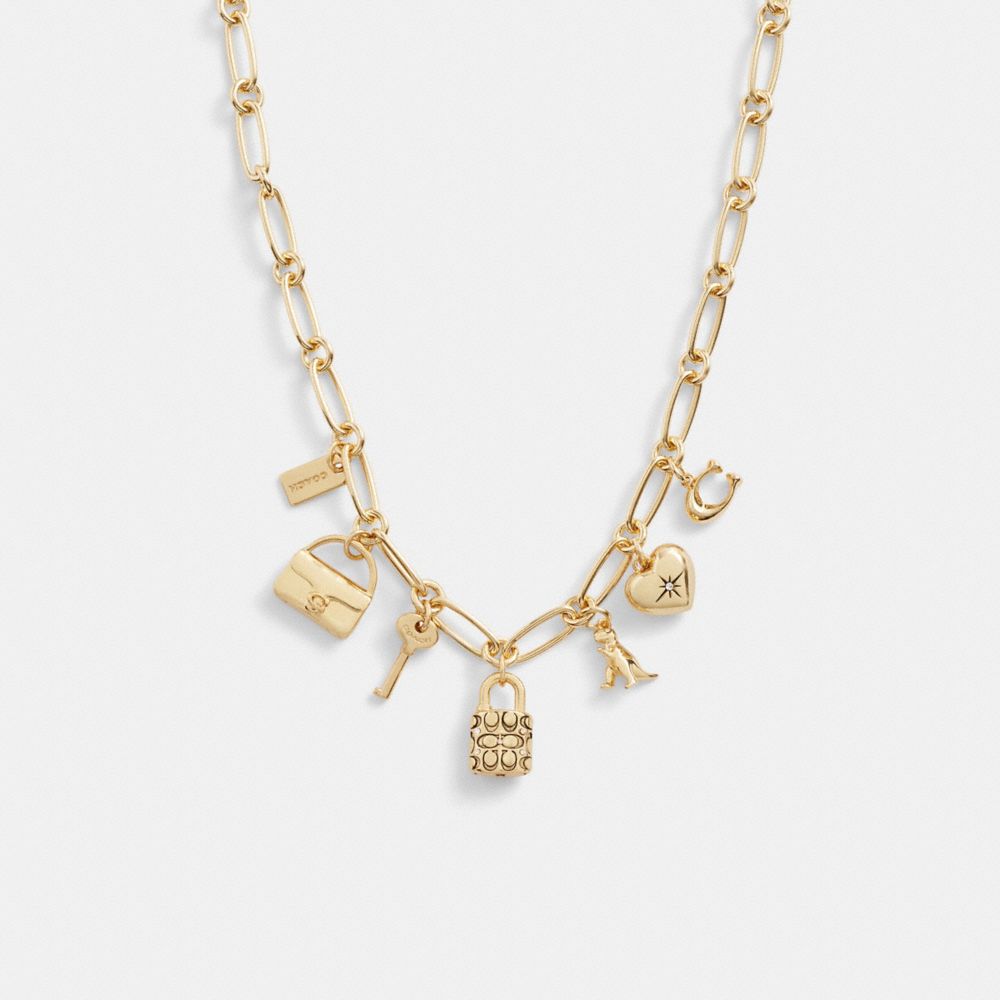 Iconic Charm Chain Necklace