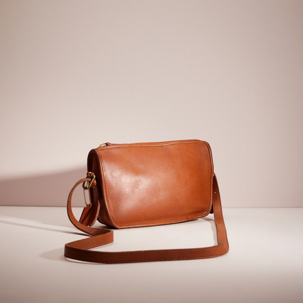 Brown leather 2025 crossbody bag coach