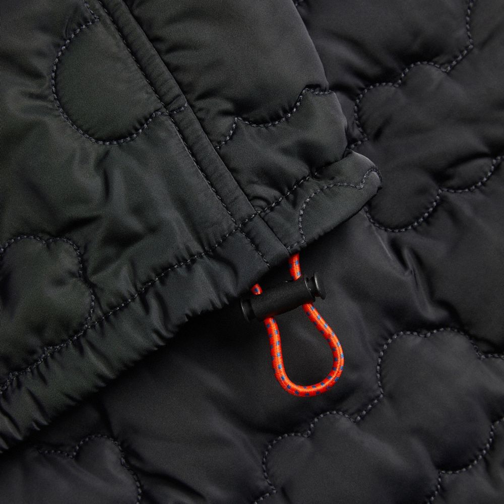 COACH®,Coachtopia Loop Cloud Quilted Pants,Recycled Polyester,Straight,Casual,Black,Closer View