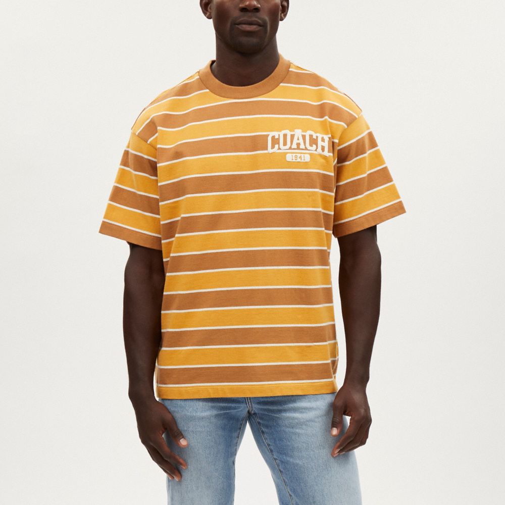 ストライプ Tシャツ 4