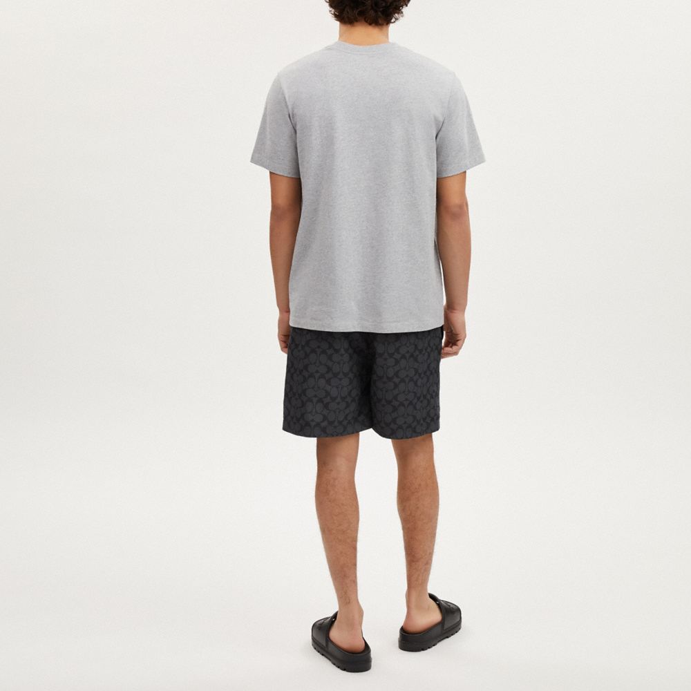 COACH®,Signature Swim Trunks,Mesh,Polyester,Board Short,Drawstring,Logo,Leisure,Gray,Scale View