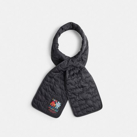 Аксессуары Coach Coachtopia Loop Scarf With Cloud Quilting