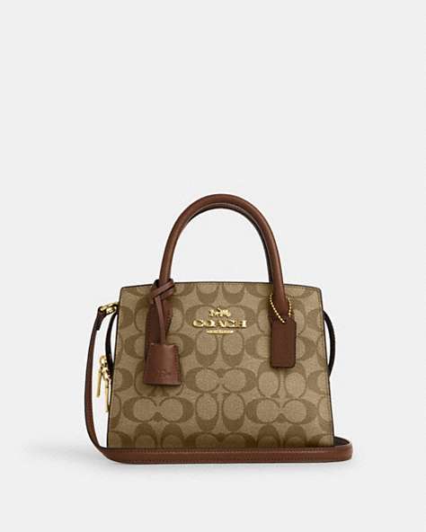 Andrea Carryall In Signature Canvas