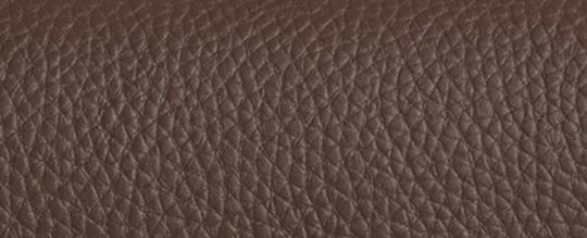 COACH®,Amelia Saddle Bag,Leather,Saddle Bag,Logo,Casual,Brown