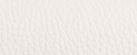 COACH®,Amelia Saddle Bag,Leather,Saddle Bag,Logo,Casual,White