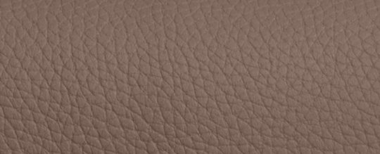 COACH®,Amelia Saddle Bag,Leather,Saddle Bag,Logo,Casual,Brown