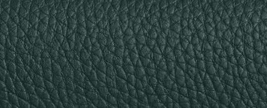COACH®,Amelia Saddle Bag,Leather,Saddle Bag,Logo,Casual,