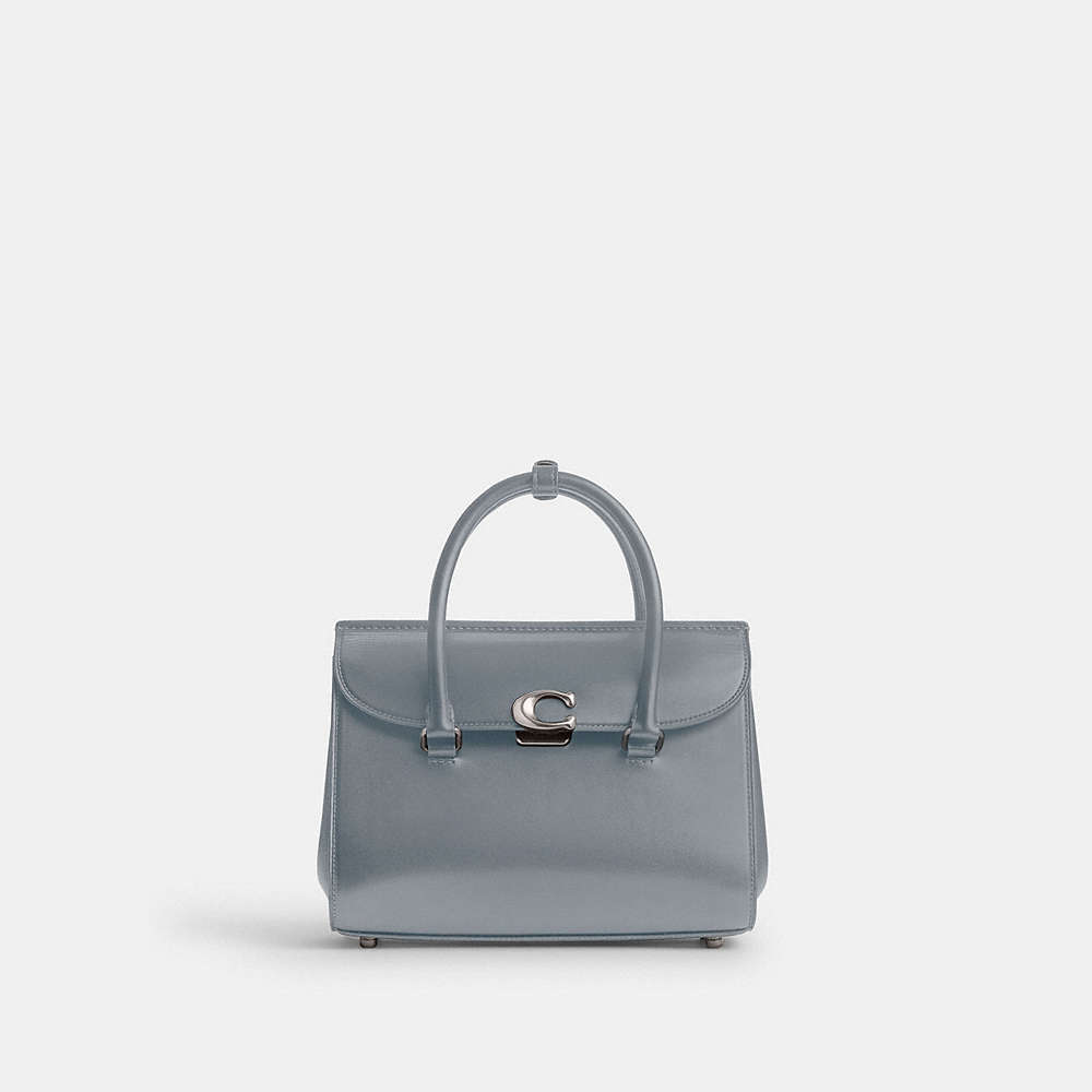 Coach Broome Carryall In Gray