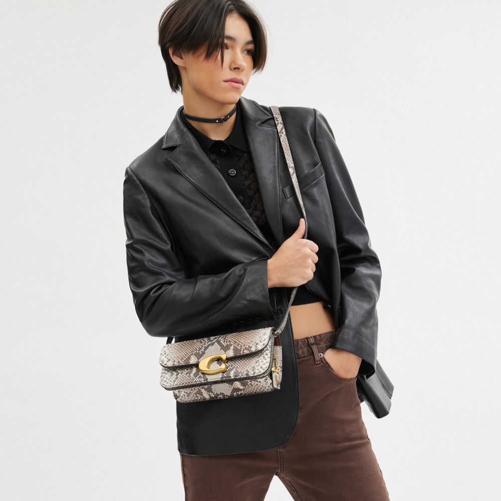 COACH®,Idol Bag 23 In Python,Lining Leather,Shoulder Bag,Metal,Logo,Gusset,Silver Metal,Day Party,Multi Color