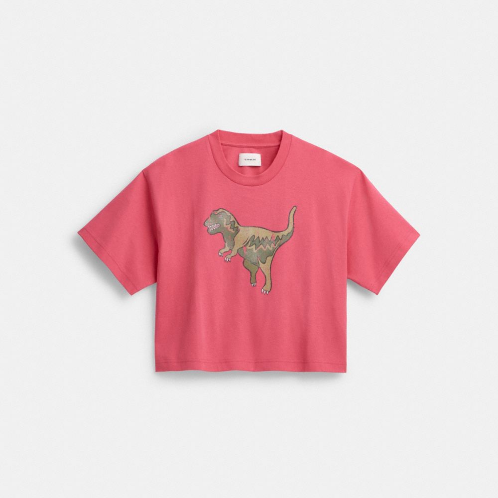 格安SALEスタート】 【uno】コーチ COACH シャツ Dinosaur T トップス 