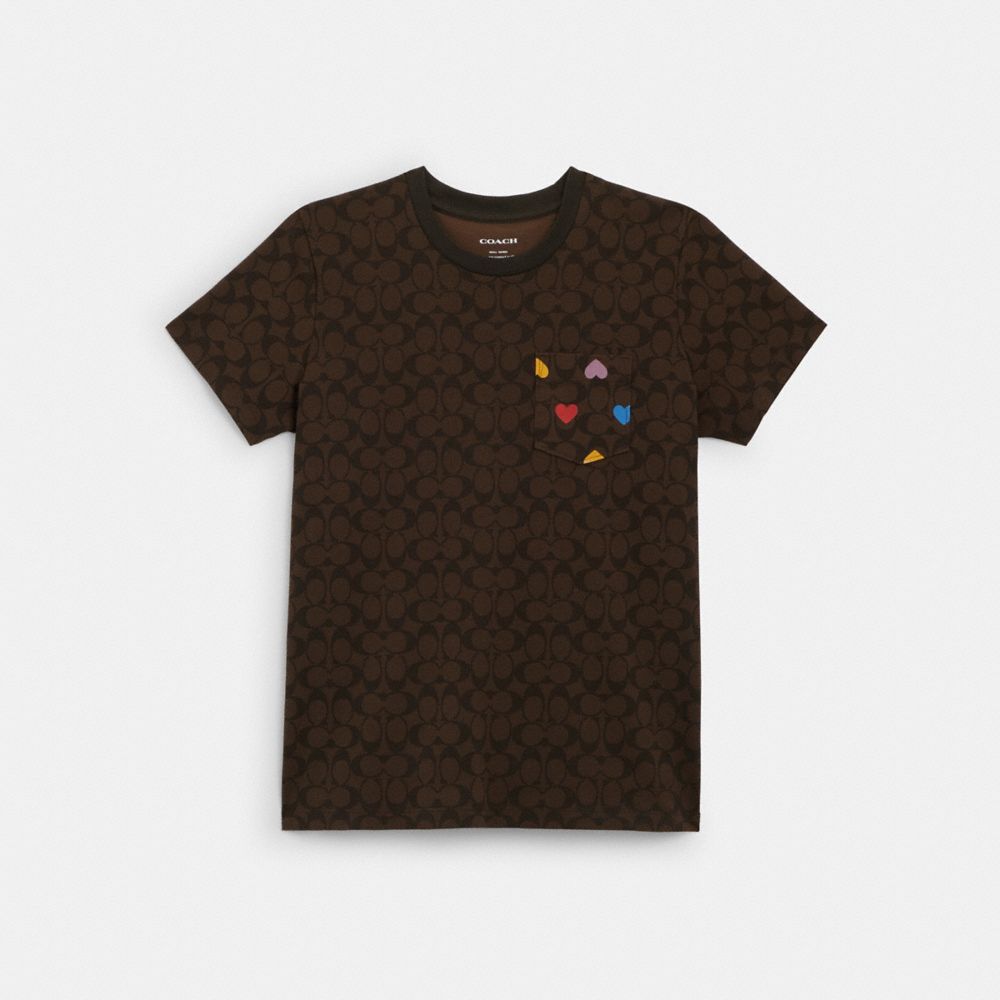 COACH®,RAINBOW HEART SIGNATURE T-SHIRT,Chestnut,Front View