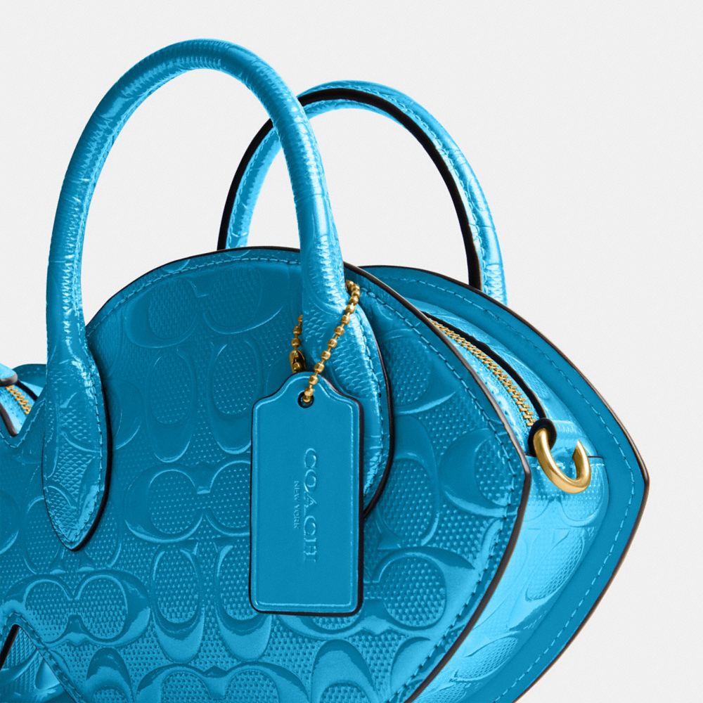 COACH Bag Pochette in Blue