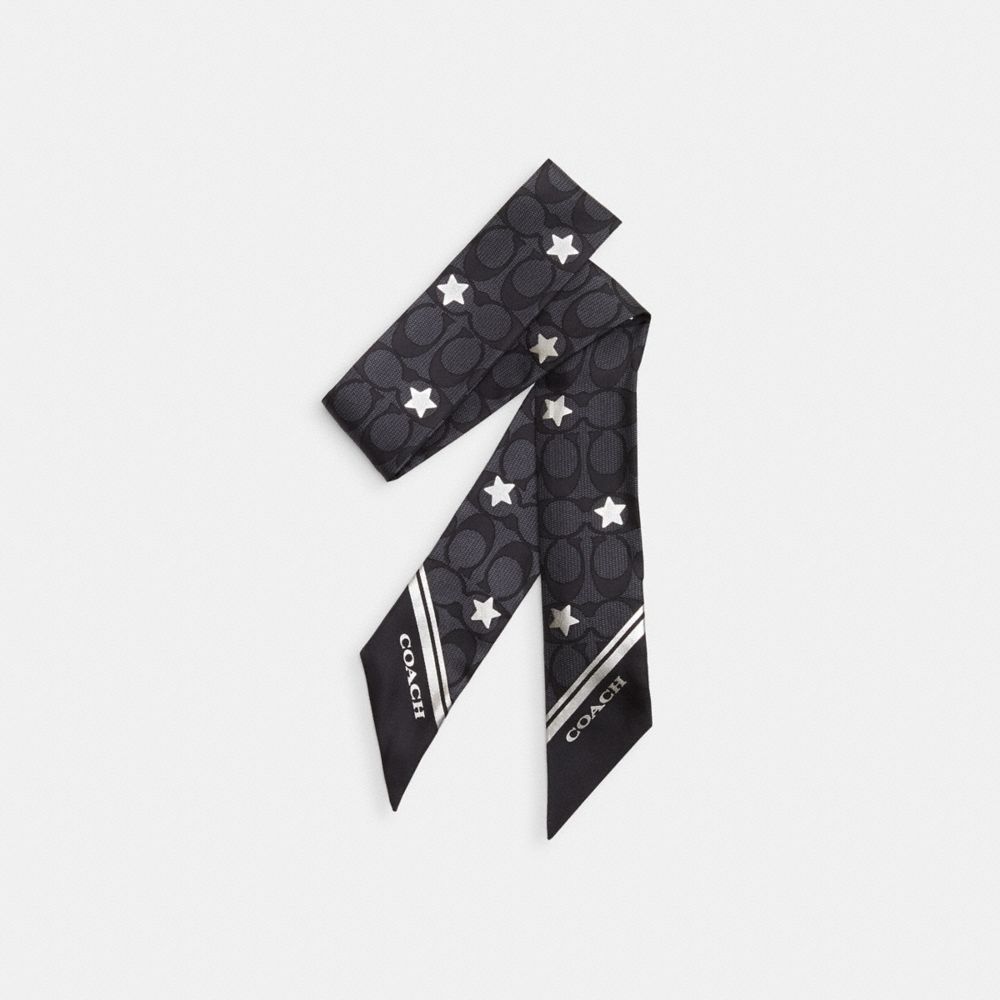 COACH®,SIGNATURE TWINKLE STAR PRINT SILK SKINNY SCARF,Graphite/Silver,Front View