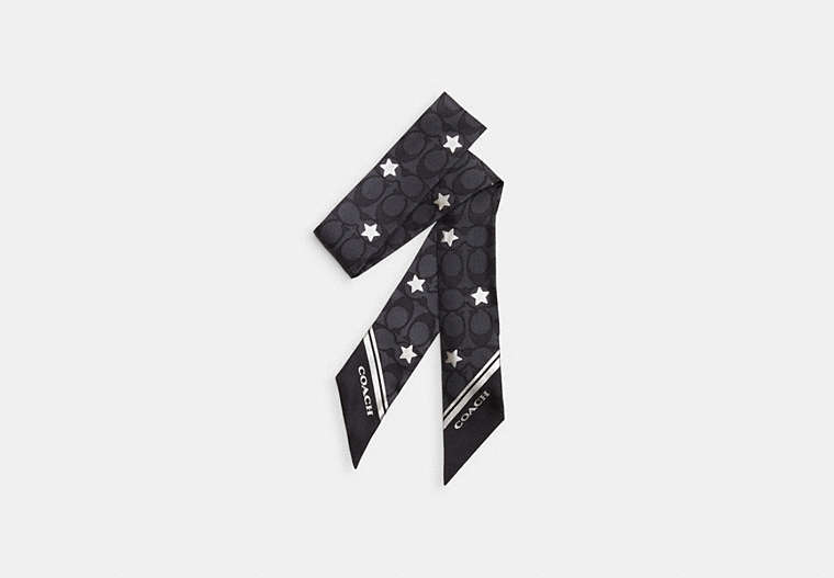 COACH®,SIGNATURE TWINKLE STAR PRINT SILK SKINNY SCARF,Coated Canvas,Graphite/Silver,Front View