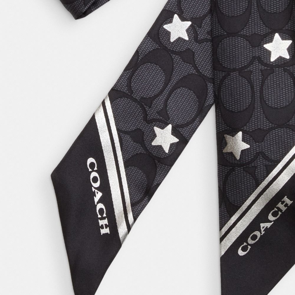 COACH®,SIGNATURE TWINKLE STAR PRINT SILK SKINNY SCARF,Graphite/Silver