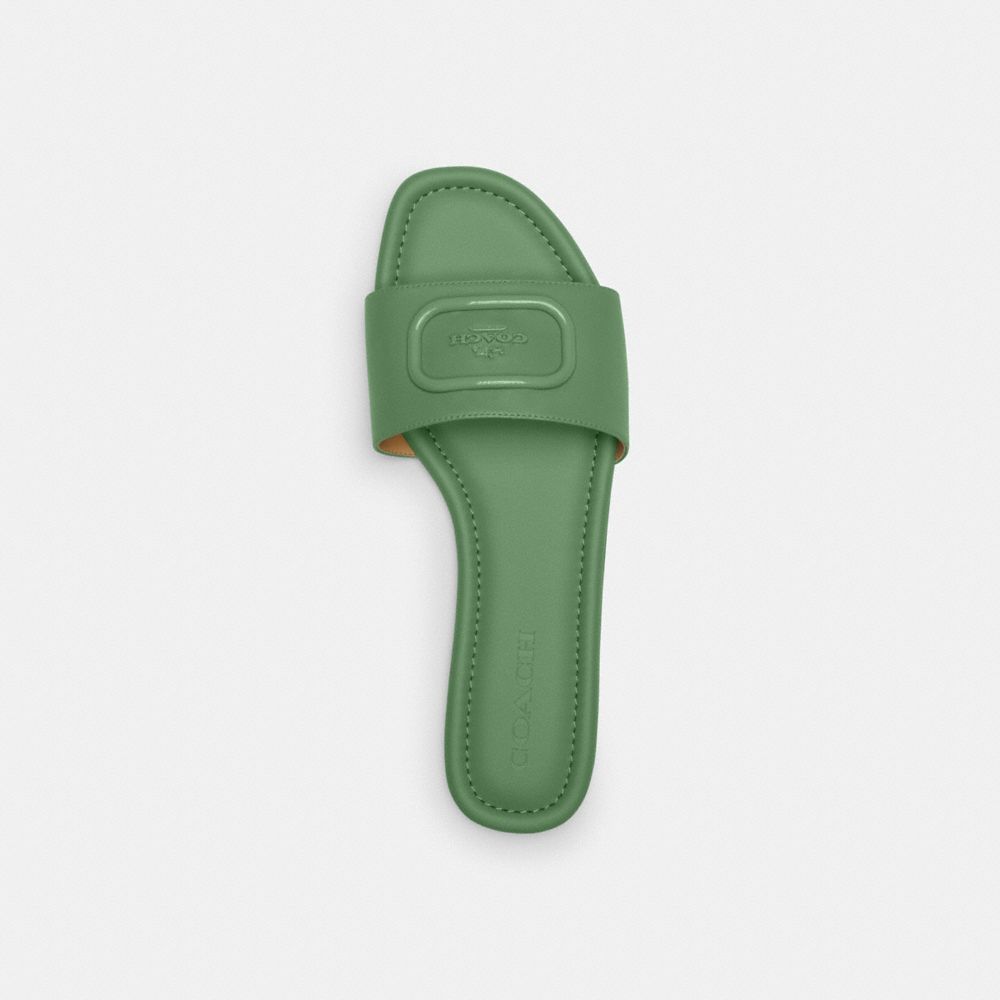 Weiches Grün,Innenansicht, Draufsicht