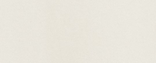 COACH&reg;,Coach Top,Cotton,T Shirt,Casual,Cream