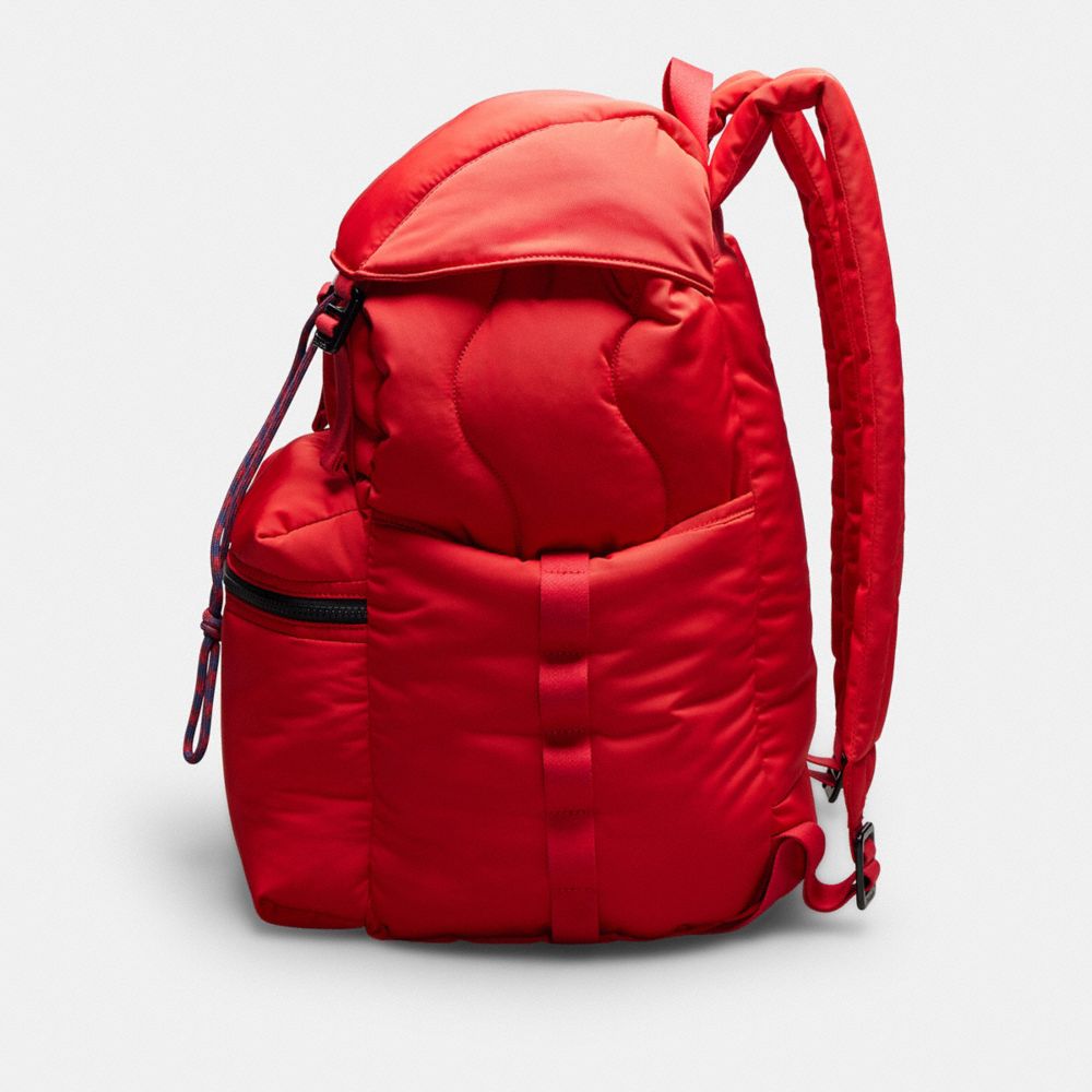 COACH COACHTOPIA LOOP BACKPACK 