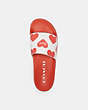 COACH®,UDELE SPORT SLIDE WITH VALENTINE'S PRINT,Rubber,Chalk/Sport Red,Inside View,Top View