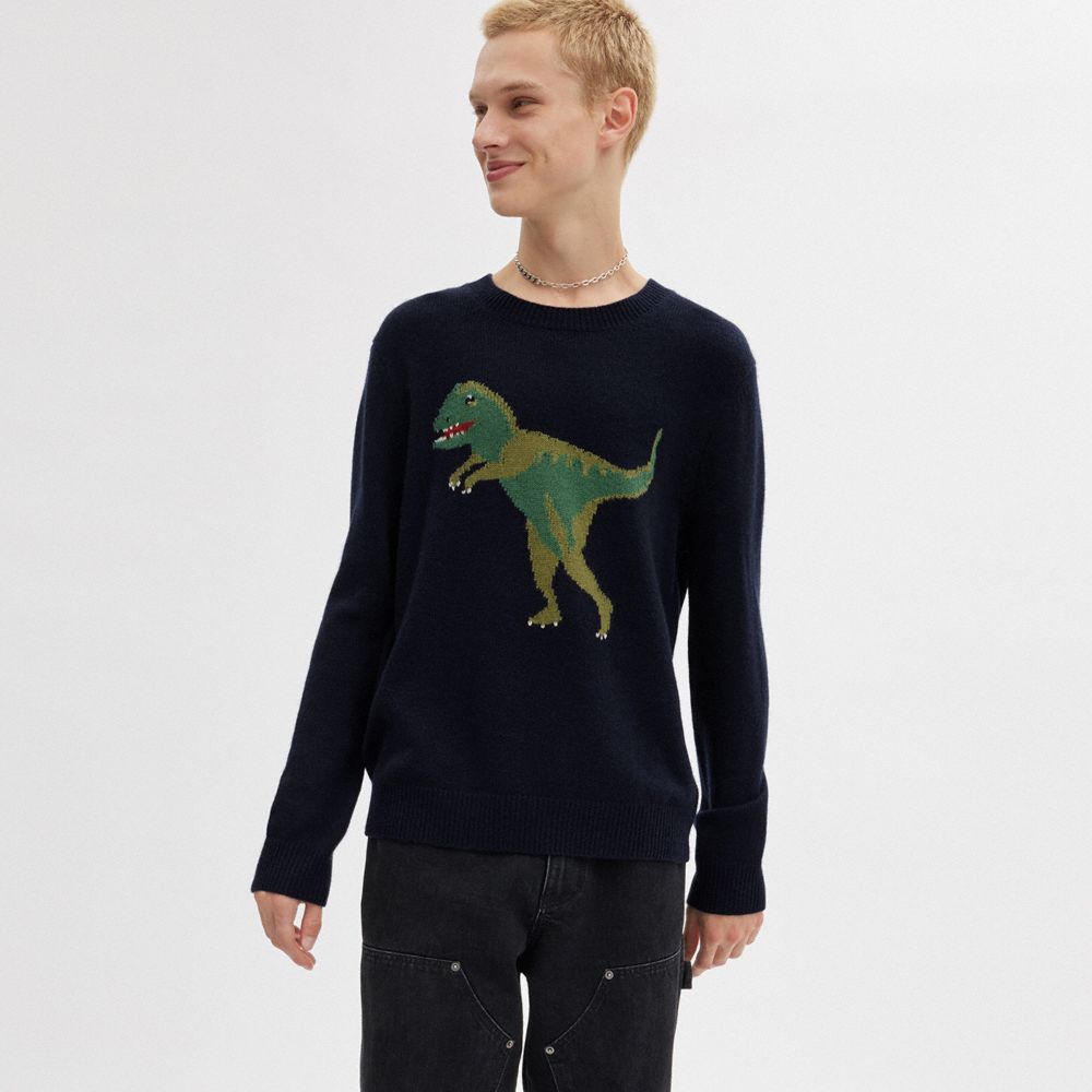 COACH®,REXY CREWNECK SWEATER,Gift Picks by Baron,Navy,Scale View