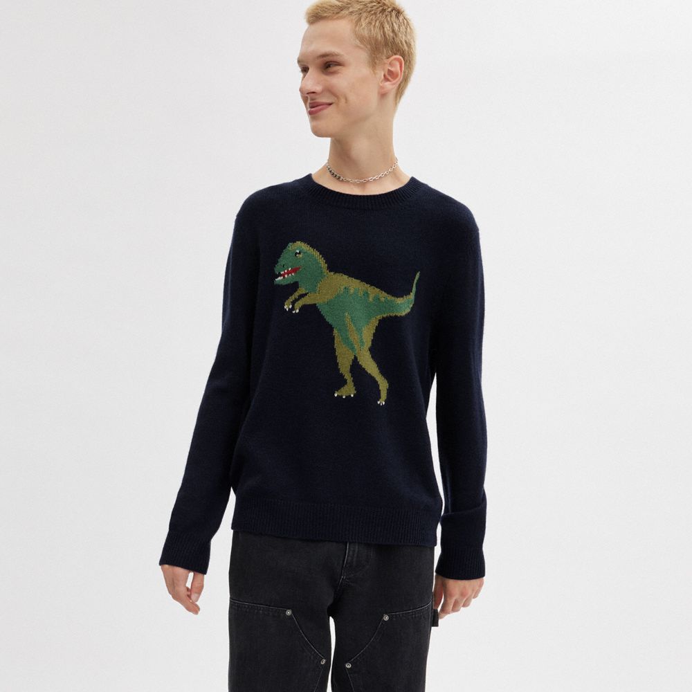 Coach dino clearance sweater