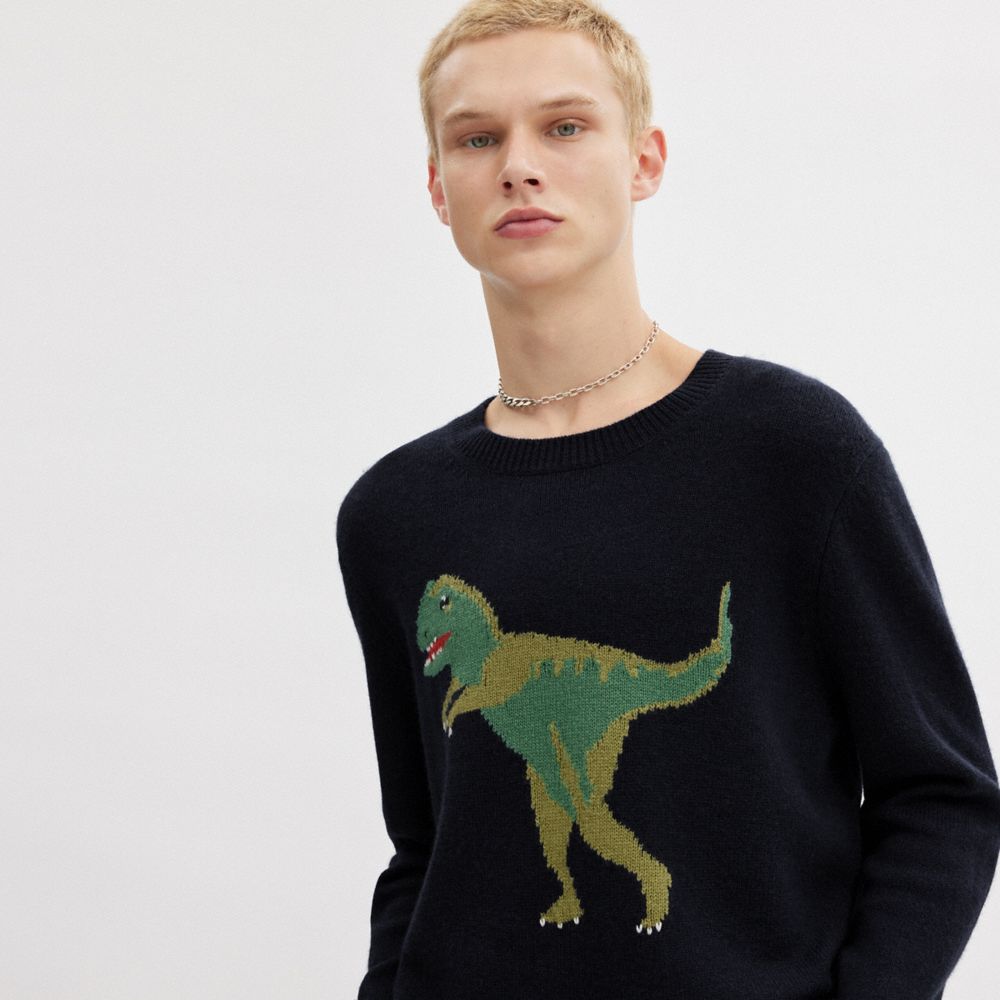 Coach hotsell dino sweater