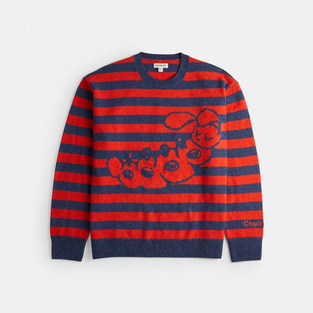 Striped Crewneck Sweater With Intarsia Caterpillar Graphic