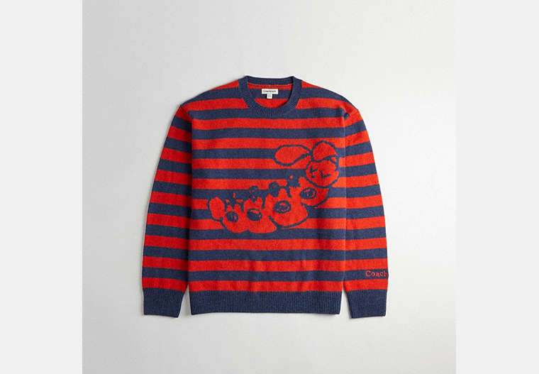 COACH®,Striped Crewneck Sweater with Intarsia Caterpillar Graphic,Deep Orange/Navy,Front View image number 0