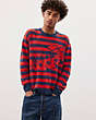 COACH®,Striped Crewneck Sweater with Intarsia Caterpillar Graphic,Deep Orange/Navy,Scale View