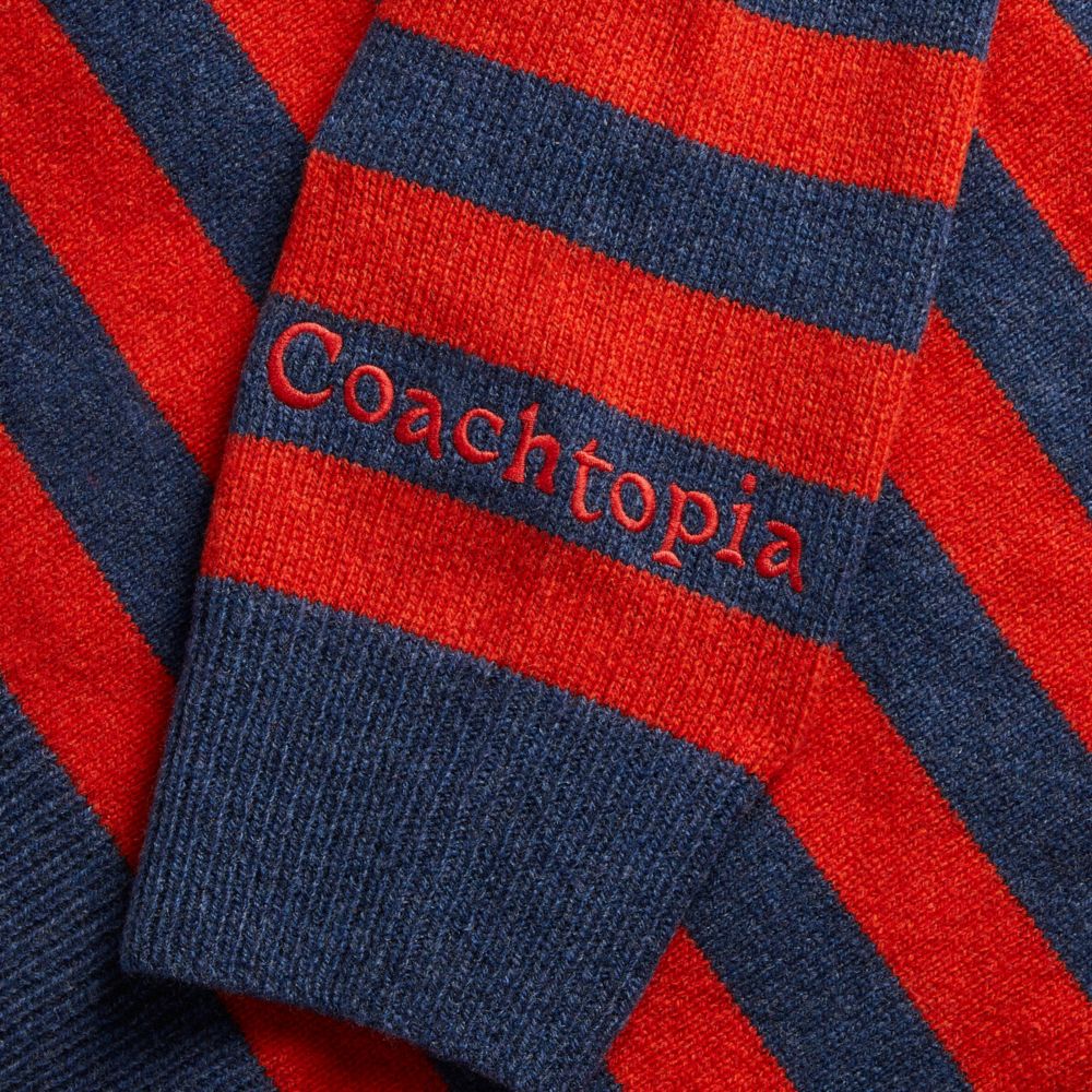 COACH®,Chandail à col rond en tricot intarsia avec rayures et motif de chenille,99 % laine recyclée, 1 % autres ...,Orange profond/Bleu marine,Closer View