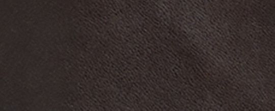 COACH®,Leather Blazer,Polyester,Viscose,Leather,Blazer,No Embellishment,Work,Brown