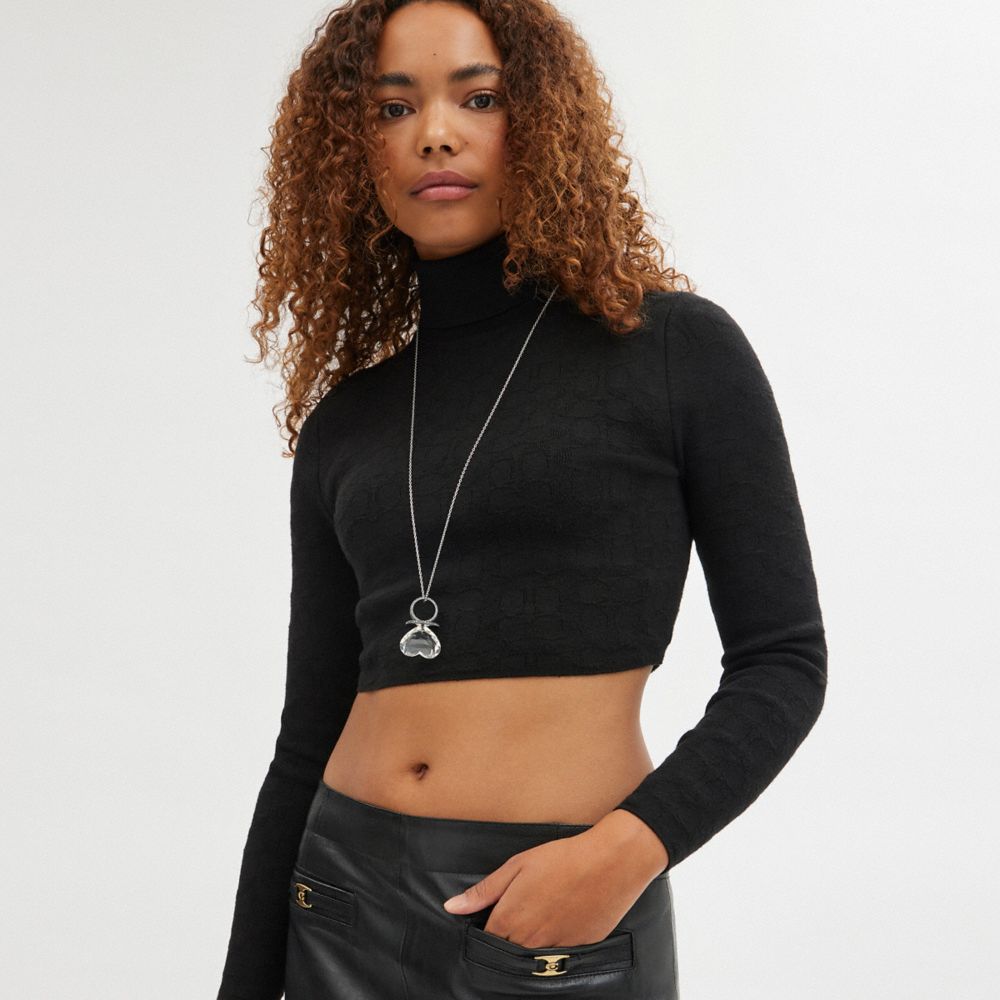 COACH®,ハート ジェムストーン リング ペンダント ネックレス,ネックレス,ｼﾙﾊﾞｰ