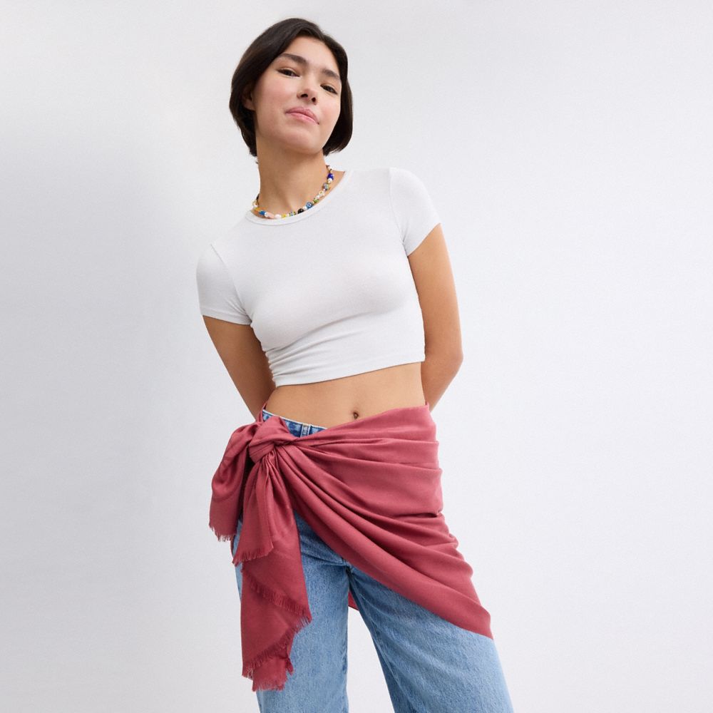 COACH®,GRANDE ÉTOLE AVEC MOTIF CHEVAL ET CALÈCHE,Rouge,Detail View