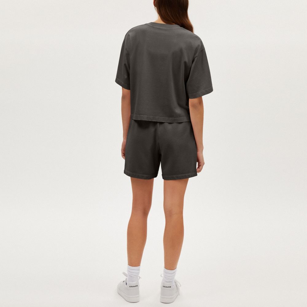 COACH®,GARMENT DYE TRACK SHORTS,Smoke,Scale View