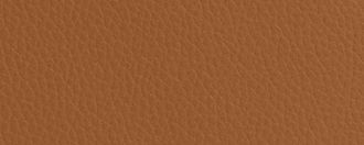 COACH®,City Tote Bag,Leather,Tote,Logo,Casual,Brown
