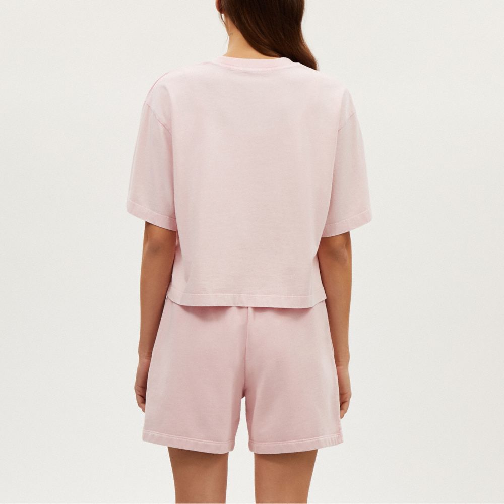COACH®,T-SHIRT TROIS QUARTS TEINT EN PIÈCE,Rose poudré,Scale View