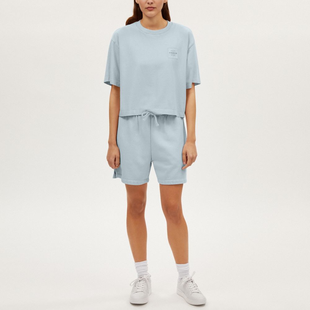 COACH®,GARMENT DYE CROPPED T-SHIRT,Dusty Blue,Scale View