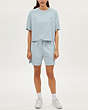 COACH®,GARMENT DYE CROPPED T-SHIRT,Other,Dusty Blue,Scale View