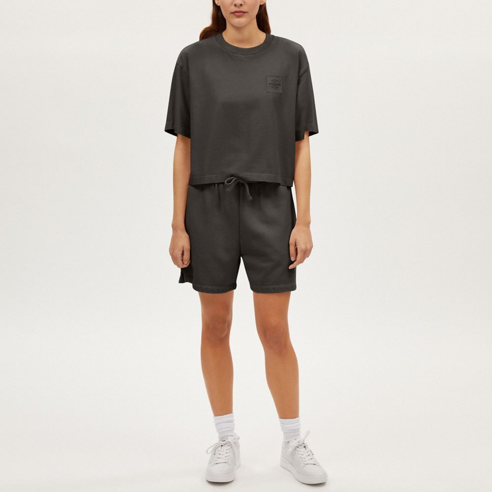 COACH®,GARMENT DYE CROPPED T-SHIRT,Smoke,Scale View