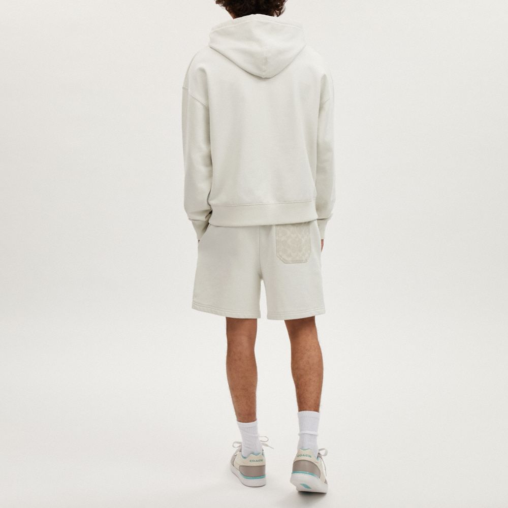 COACH®,TONAL SIGNATURE HOODIE,Off White,Scale View