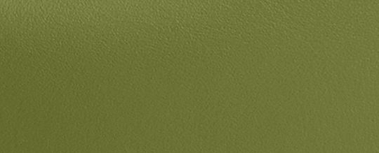COACH®,Jonie Bag,Leather,Crossbody,Embossed,Logo,Metal,Compact,Gold Metal,Day Party,Olive