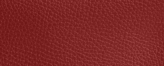 COACH®,POCHETTE À COSMÉTIQUES ESSENTIAL,Cuir galet poli,Argent/Rubis