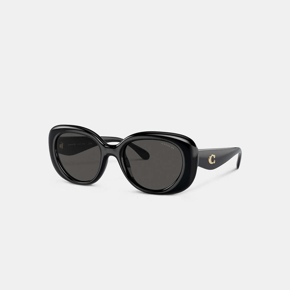 Coach Pillow Tabby Round Sunglasses In Black