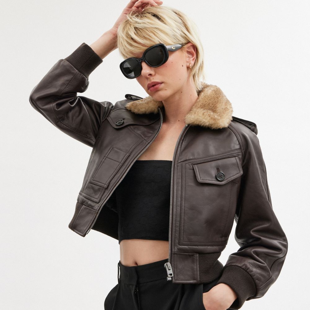 Coach Pillow Tabby Round Sunglasses In Black