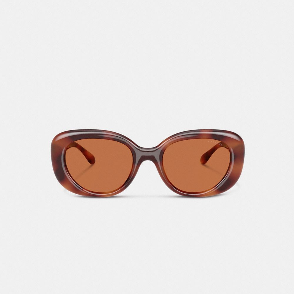 Coach Brown Oval Ladies Sunglasses Hc8391u 577473 53