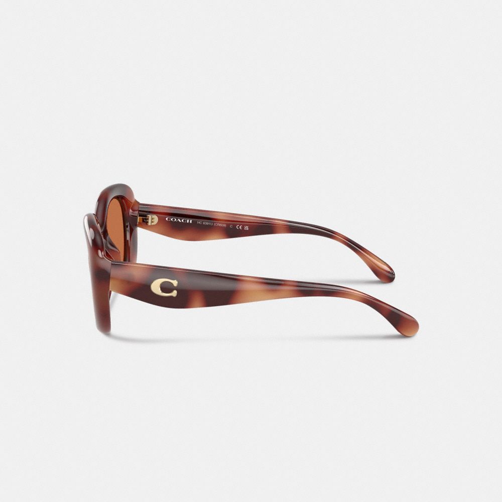 Coach Brown Oval Ladies Sunglasses Hc8391u 577473 53